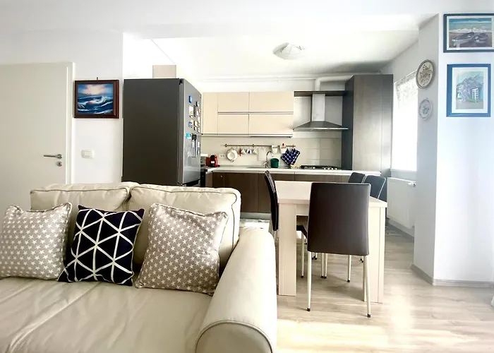 公寓 Nataly's House 布拉索夫